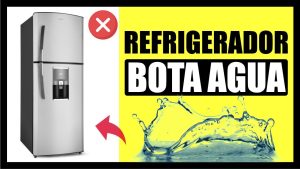Nevera con fuga de agua por la zona de verduras